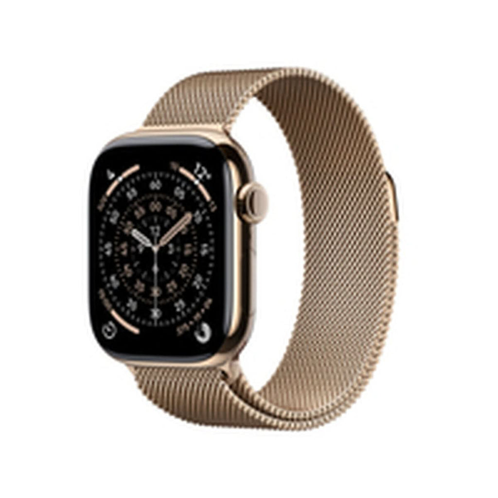 Smartwatch Apple Titanium