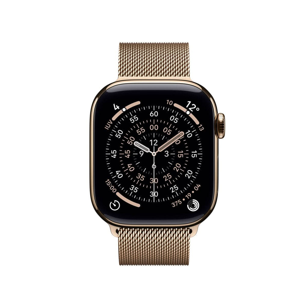 Smartwatch Apple Titanium
