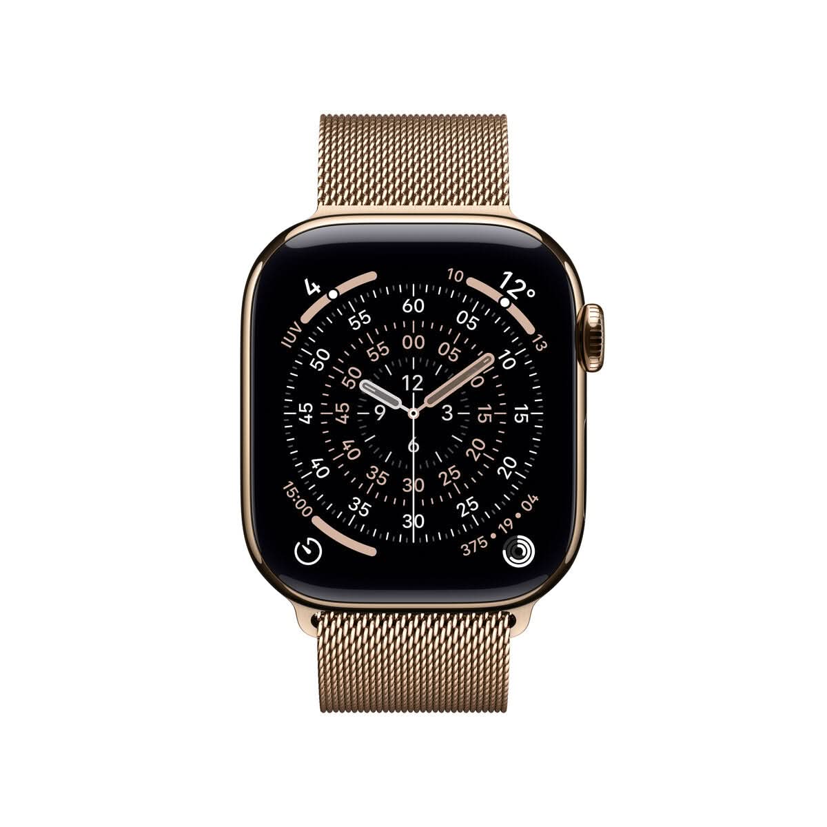 Smartwatch Apple Titanium