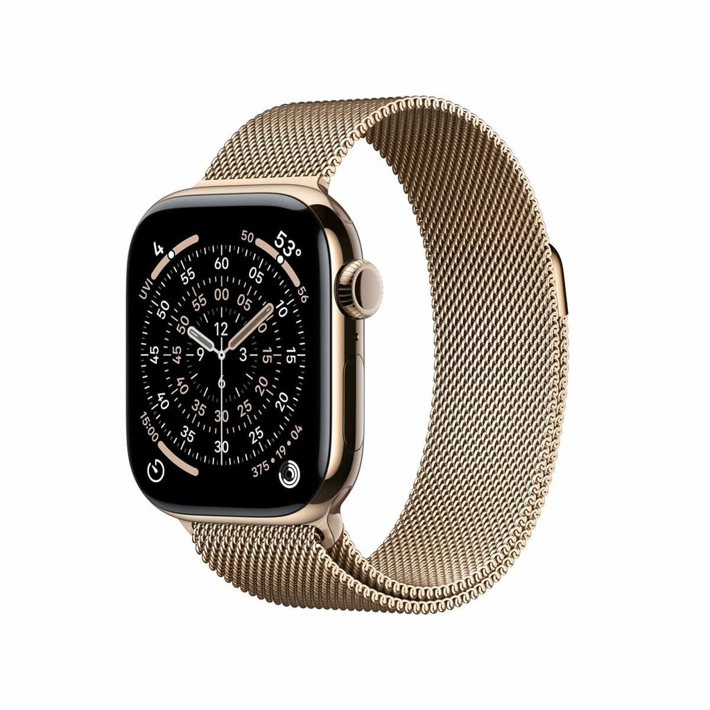 Smartwatch Apple Titanium