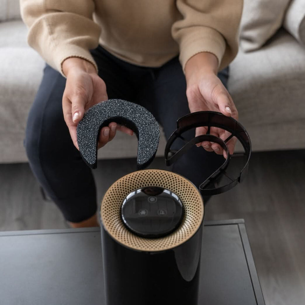 10 Pack Carbon Air Filter