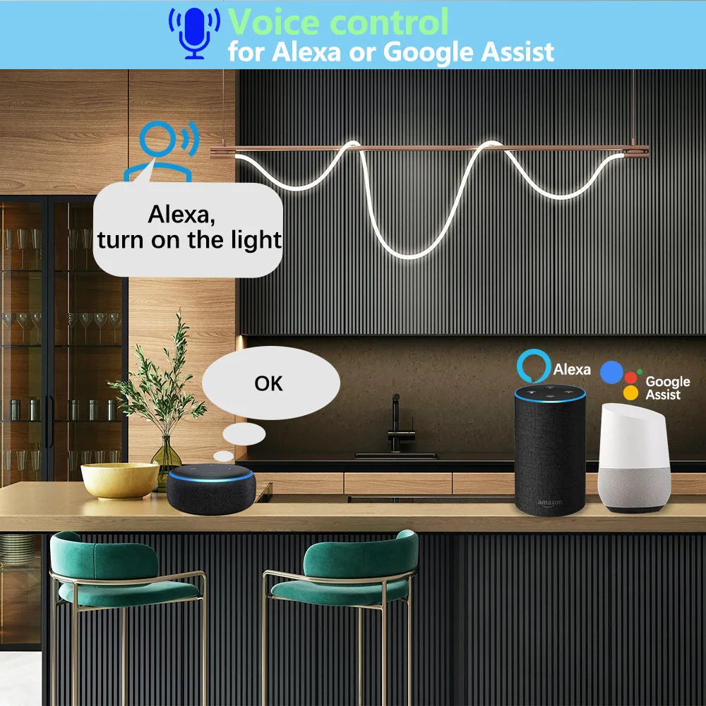 Tuya WiFi Smart Switch DC 12V 24V 2Channels Dry Contact Relay Receiver Wireless Remote Control Switch work with Smart Life,Alexa